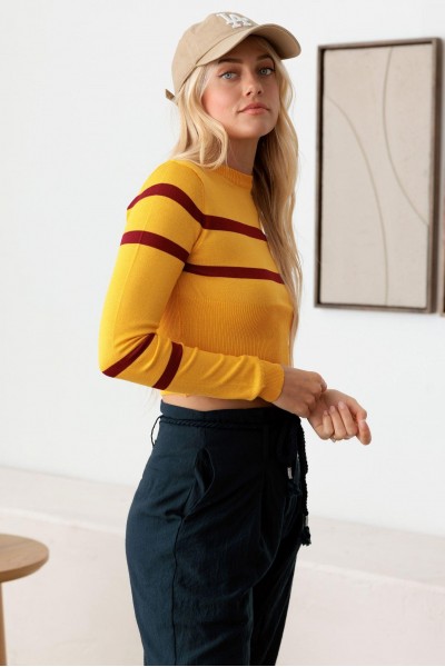 Stripe Long Sleeve Crop Knit Top